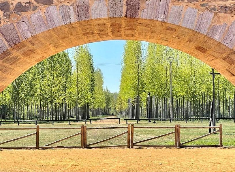 B&B Puente De Orbigo Hospital de Órbigo Dış mekan fotoğraf